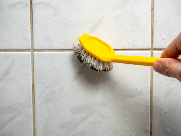 Best Mold Removal Near Me  in Val Verde, CA