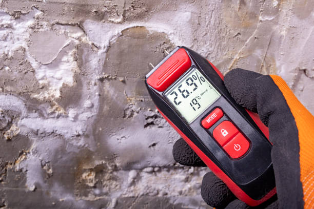 Best Residential Mold Removal  in Val Verde, CA