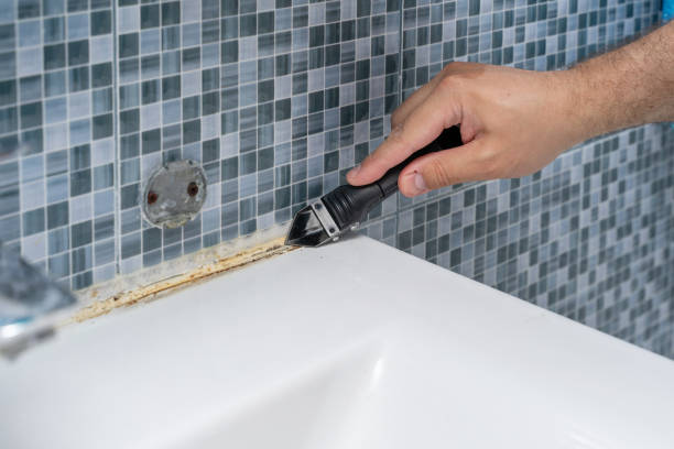 Best Best Mold Removal Companies  in Val Verde, CA