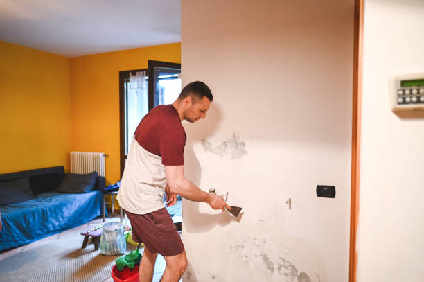 Best Residential Mold Removal  in Val Verde, CA